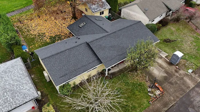 Prodigy Roof Solutions Picture 2