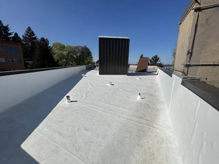 Prodigy Roof Solutions Picture 1