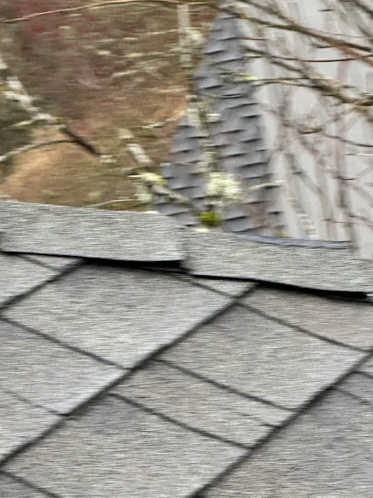 Ability Plus Roofing Picture 2