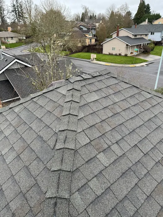Ability Plus Roofing Picture 1