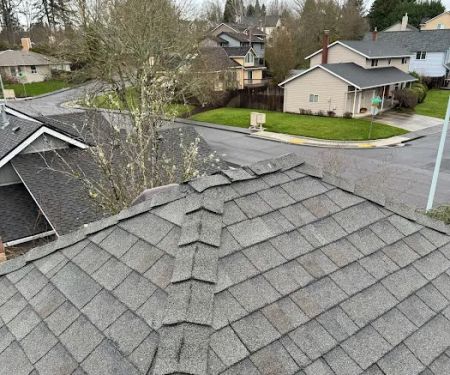 Ability Plus Roofing