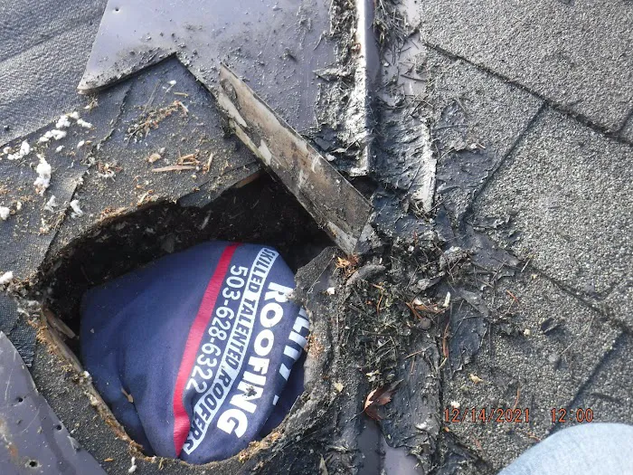 Ability Plus Roofing Picture 9