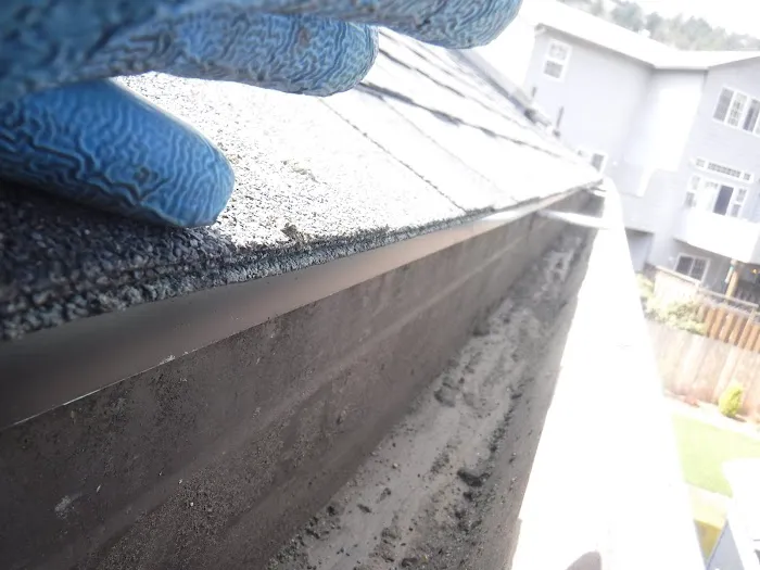 Ability Plus Roofing Picture 7