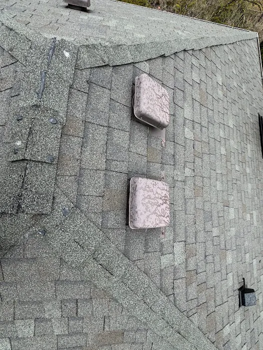 Ability Plus Roofing Picture 3