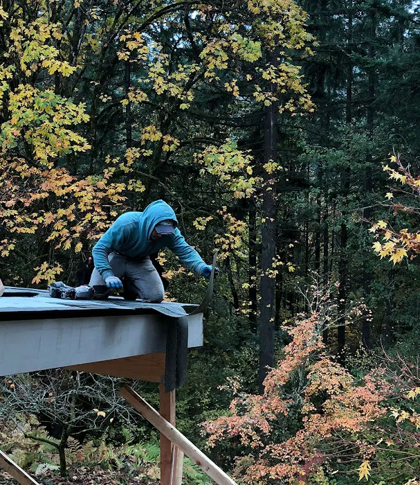 Ability Plus Roofing Picture 8