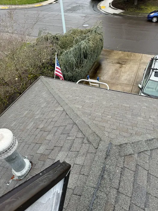 Ability Plus Roofing Picture 6