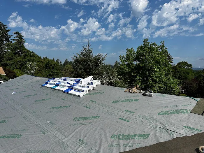 Oswego Roofing Picture 1