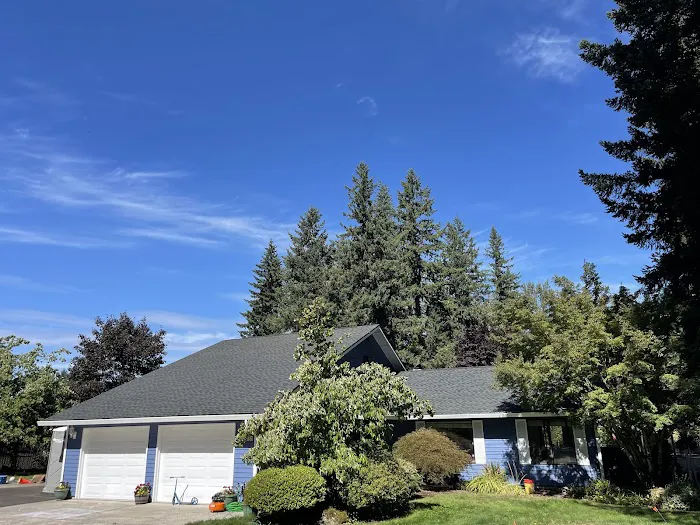 Bailey And Sons Roofing LLC Picture 6