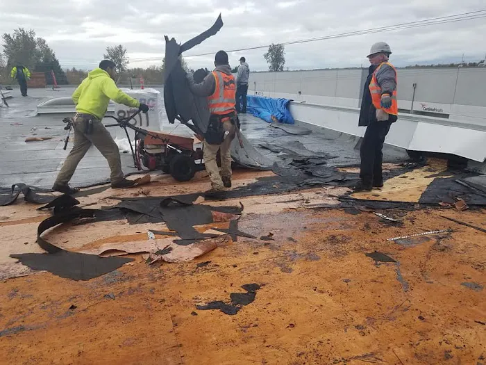 McDonald & Wetle Inc Picture 6