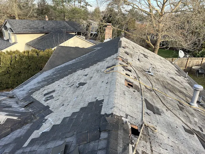 Top Master Roofing Picture 6
