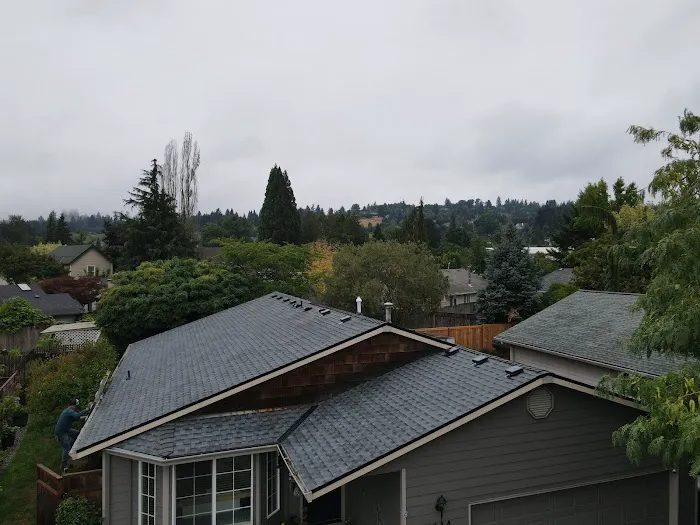 Orion Roofing Picture 4