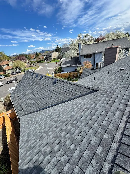 Orion Roofing Picture 9