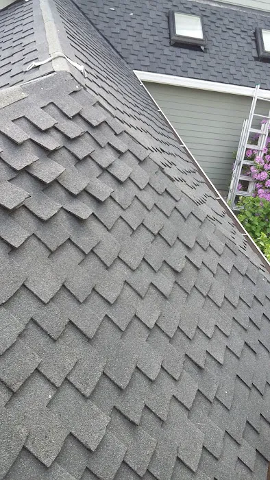 Hasskamp Roofing Picture 4
