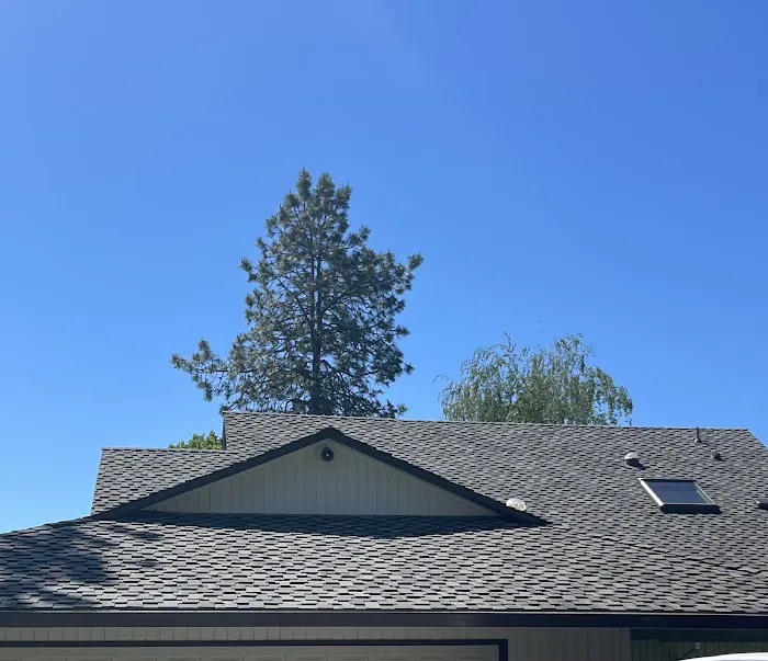 Hasskamp Roofing Picture 1