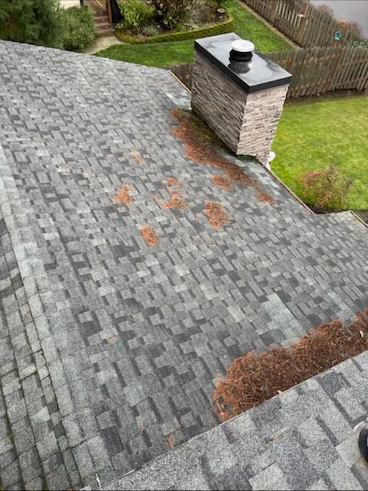 NW Precision Roofing Picture 6