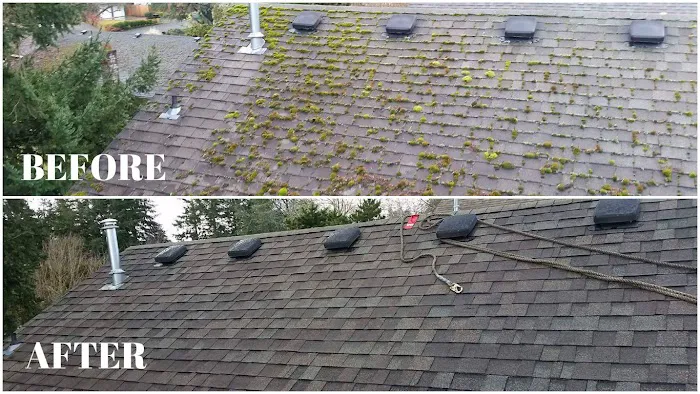 PORTLAND ROOF AND GUTTERS CO. Picture 5