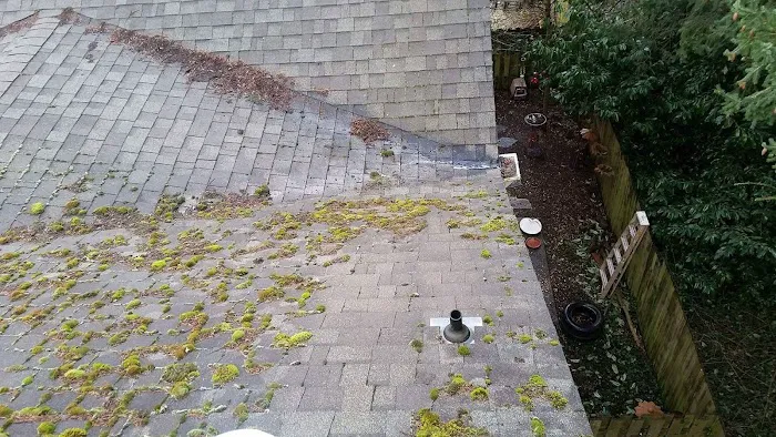 PORTLAND ROOF AND GUTTERS CO. Picture 4