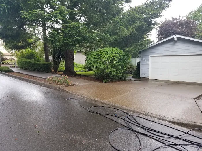 Aloha Pressure Washing Inc. & Roofing Co Picture 4