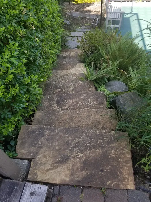 Aloha Pressure Washing Inc. & Roofing Co Picture 5