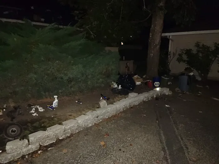 Bull MountainRoofing Picture 7