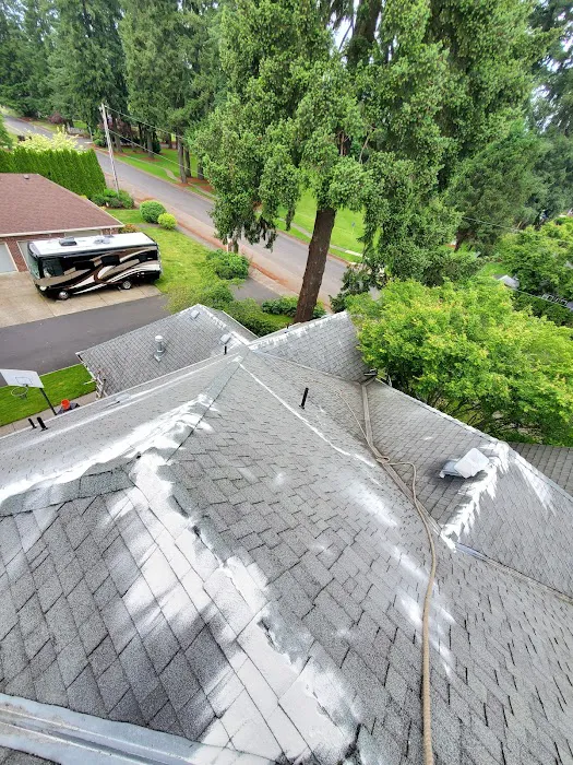 Clearview Roof Cleaning Picture 8