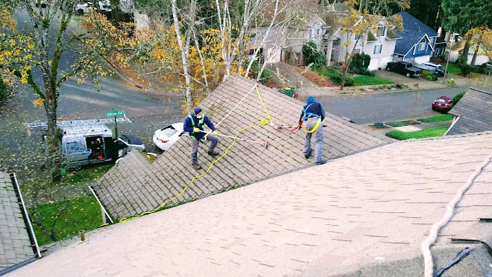 Clearview Roof Cleaning Picture 7