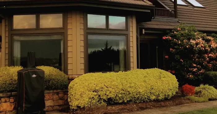 Clearview Roof Cleaning Picture 2