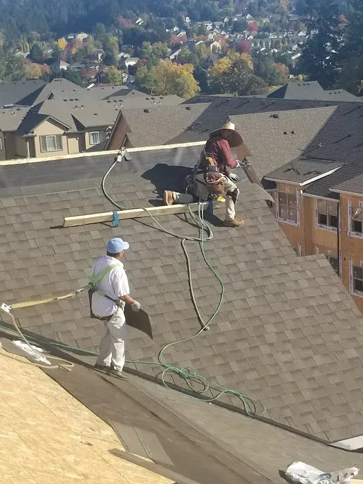 Gonzalez G Roofing Picture 6