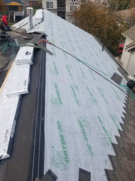 Gonzalez G Roofing Picture 8