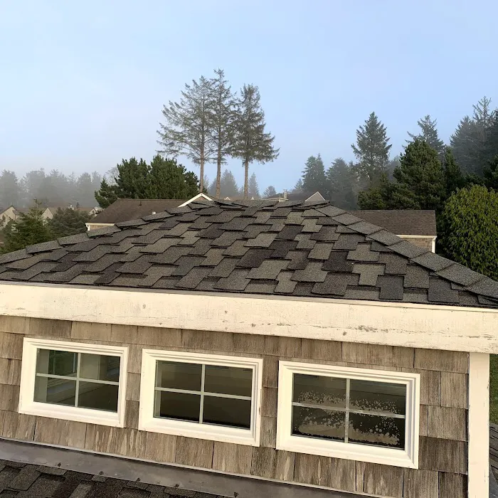 Alpha Roofers LLC Picture 10