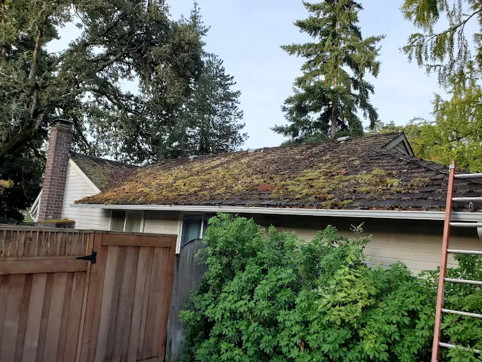 Alpha Roofers LLC Picture 7