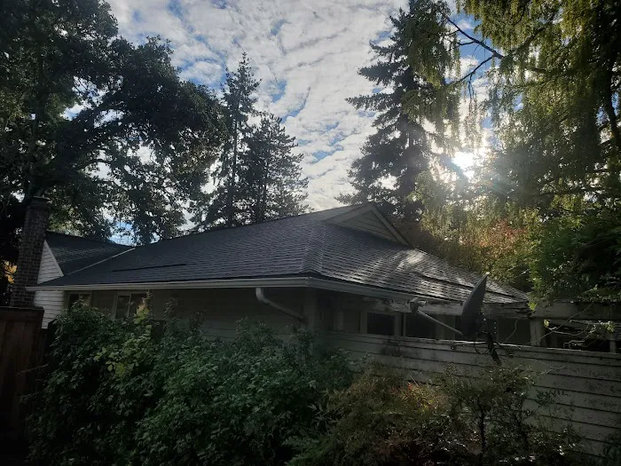 Alpha Roofers LLC Picture 4