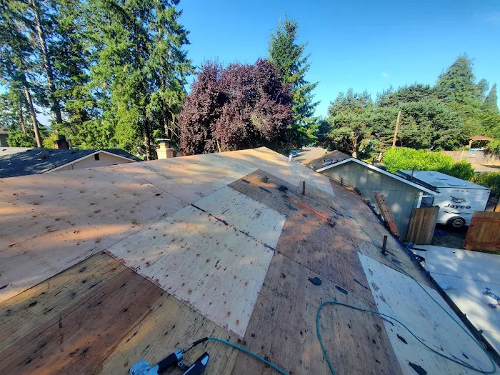 Alpha Roofers LLC Picture 3