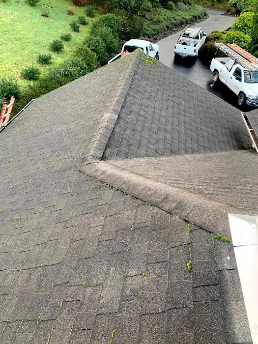 Alpha Roofers LLC Picture 9