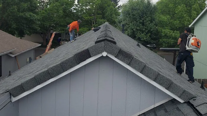 Alpha Roofers LLC Picture 2
