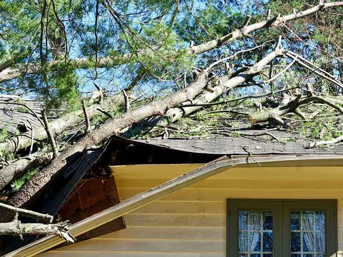 Raindrop Roofing NW LLC Picture 9