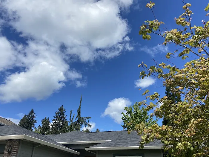 Reliance Roof Pros Picture 1