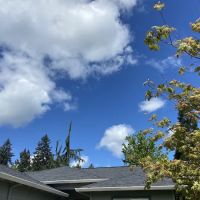 Reliance Roof Pros ico