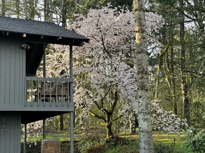 Reliance Roof Pros Picture 5