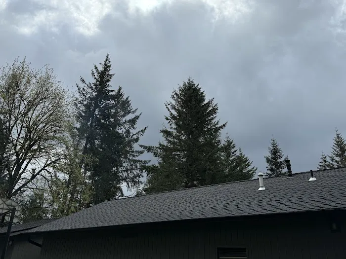 Reliance Roof Pros Picture 2