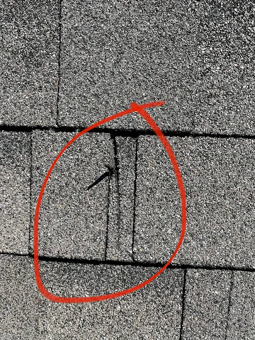 H&L Roofing Picture 8