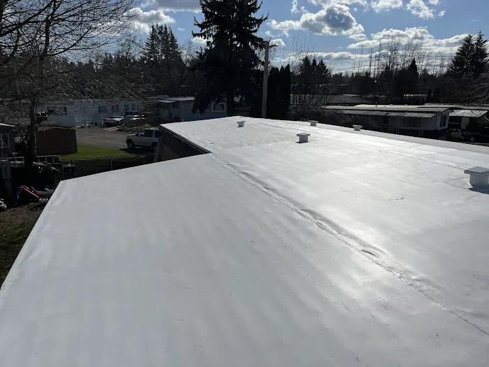 Tilly's Roofing Repair Picture 4