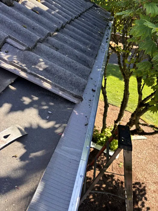 Tilly's Roofing Repair Picture 10