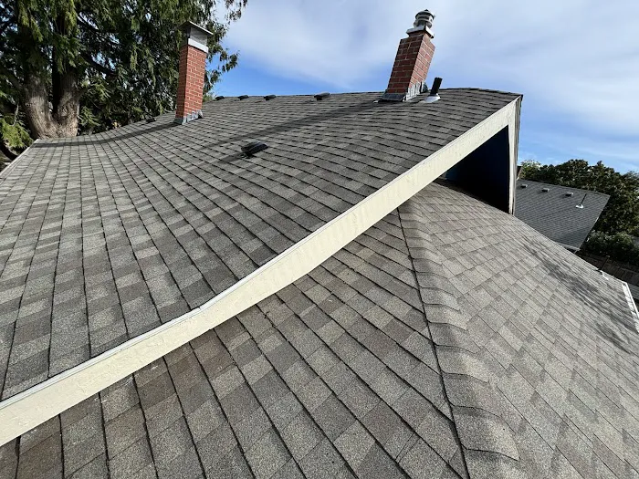 Tilly's Roofing Repair Picture 5