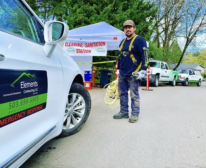 Elements Roofing Picture 6