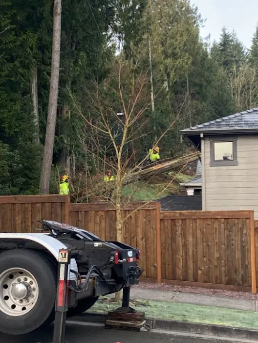 Bull Mountain Roofing Picture 2