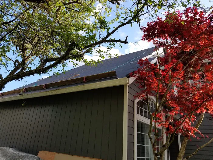 Smart King Roofing LLC Picture 10