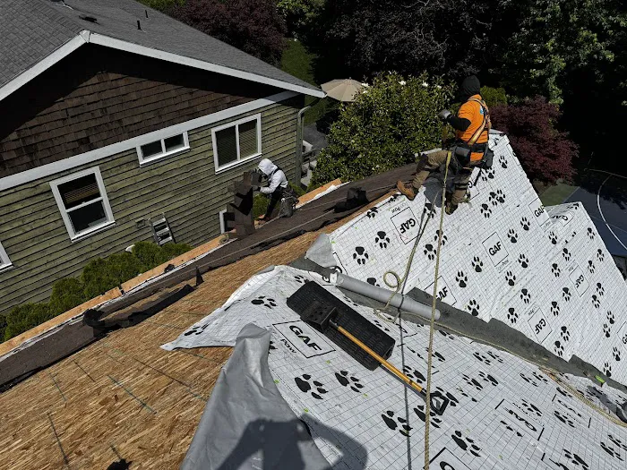 Blue Moon Roofing & Gutters Picture 10