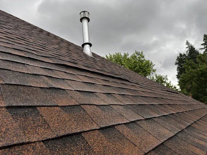 Blue Moon Roofing & Gutters Picture 1