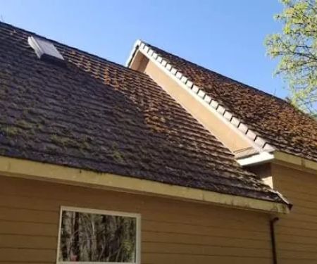 Friends Roofing and Remodel LLC